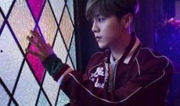 鹿晗的身世爆料视频播放,揭秘明星背后的家族故事