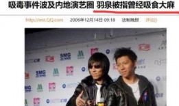 羽泉 唱歌 爆料视频,揭秘明星幕后趣事