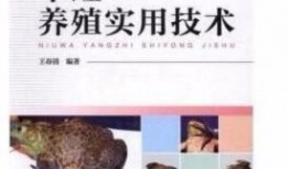 爆料牛蛙养殖技术视频教程,跟随视频教程学技巧