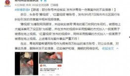 浦东干部爆料事件视频,揭露官场内幕
