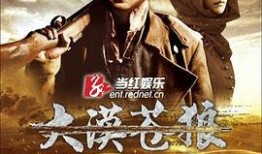 在线观看大漠苍狼,探寻丝绸之路的传奇之旅