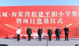 平阳最新爆料,揭秘事件背后惊人真相