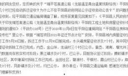 平阳最新爆料,揭秘事件背后惊人真相