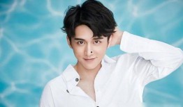 娱乐大爆料张新成,揭秘明星幕后故事