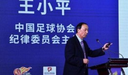 中国足协最新爆料,揭秘足球改革新动向