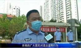 邯郸小三最新爆料新闻,最新爆料揭露惊人内幕