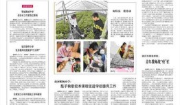 临沂半程爆料事件最新,真相与争议交织的舆论漩涡