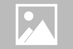 深圳头条郑女士爆料新闻,郑女士独家爆料，揭秘事件背后惊人真相