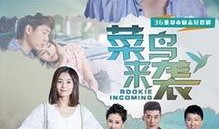 菜鸟来袭 在线观看,在线观看，揭秘菜鸟逆袭之路