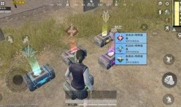 新款吃鸡爆料视频,全新爆料视频带你领略游戏新篇章