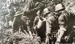 血战边境线在线观看,烽火连天，热血铸就忠诚