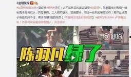 参哥出品爆料视频大全集,揭秘幕后真相，带你领略网络风云