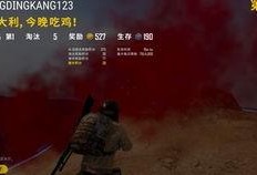 菜鸟爆料吃鸡视频下载,吃鸡视频下载攻略，轻松获取热门游戏精彩瞬间