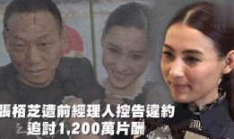娱乐吃瓜教程在线观看,跟随娱乐教程，轻松解锁追剧乐趣