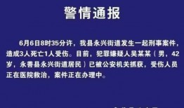 云南永善爆料最新消息今天,最新爆料揭示惊人真相