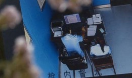 执行官女士内鬼爆料视频,执行官女士惊天视频曝光