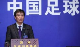中国足协最新爆料,揭秘足球改革新动向
