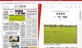 广东卫视新闻爆料电话,揭秘幕后新闻线索来源