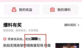 今日头条怎样爆料视频,一键生成，揭秘爆料新方式