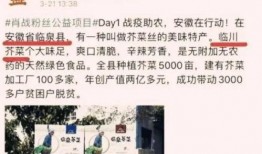 现场新闻爆料文案,惊现重大事件，详情即将揭晓！