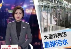 今日一线 爆料,揭秘娱乐圈惊人内幕