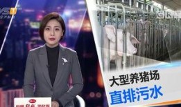 今日一线 爆料,揭秘娱乐圈惊人内幕