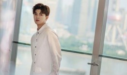 爆料大王任嘉伦视频,揭秘明星幕后故事