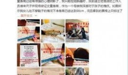 女明星互撕爆料是谁啊视频,女明星互撕爆料视频背后的真相