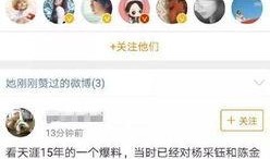 娱乐爆料p图教程,娱乐爆料瞬间变大片！