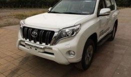 新款霸道爆料视频下载软件,独家爆料视频下载软件深度解析