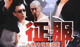 征服电视剧全集在线观看完整版,全程揭秘电视剧全集在线观看的精彩瞬间