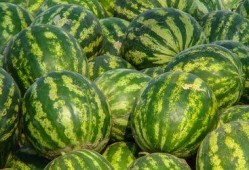 娱乐吃瓜酱30,揭秘娱乐圈那些不为人知的幕后故事