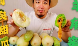 吃瓜网红故事在线阅读,网红吃瓜故事大揭秘