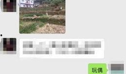 茂名真实爆料事件最新情况,揭开事件背后惊人真相