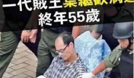 贼王最新爆料新闻,揭秘犯罪团伙内幕