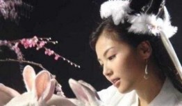 电影嫦娥在线观看,穿越时空的浪漫邂逅