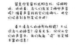 小鱼的吃瓜日记免费阅读,揭秘娱乐圈幕后故事