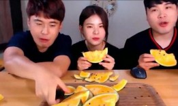 免费吃瓜网课兄妹,揭秘网络教育界的甜蜜互动