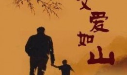 在线观看父爱如山,一部展现深沉父情的感人佳作