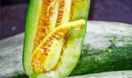 哈萨克网红吃瓜,揭秘网红们的幕后故事