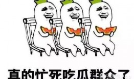 娱乐吃瓜酱知识怎么就进脑子里了,知识如何悄然植入脑海