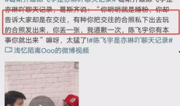 葛斯齐最新爆料聊天记录,揭秘聊天记录背后的惊人真相