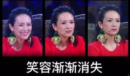 如意网友爆料真实视频,揭秘事件背后惊人真相