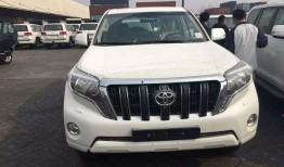 新款霸道爆料视频下载软件,独家爆料视频下载软件深度解析