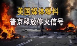美国感染者爆料新闻视频,疫情下的真实遭遇与挑战