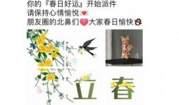 小鱼的吃瓜日记免费阅读,揭秘娱乐圈幕后故事