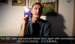 英媒体人爆料假新闻,真相与谎言的较量