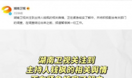 娱乐圈吃瓜语音