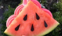 哈萨克网红吃瓜,揭秘网红们的幕后故事