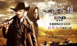 在线观看大漠苍狼,探寻丝绸之路的传奇之旅